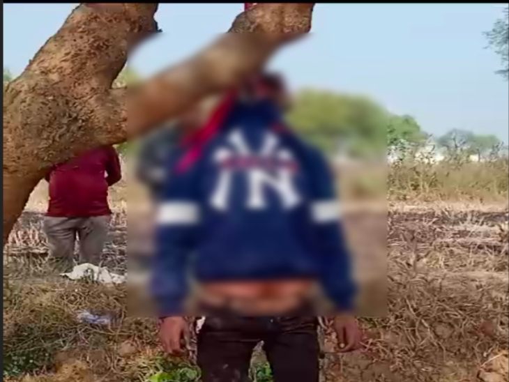 पेड़ पर फांसी में लटकते मिला युवक का शव। - Dainik Bhaskar