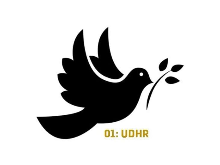 This is the logo which Usman Khawaja had sought permission to put on his bat and shoes.