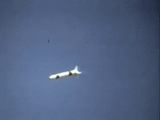 इसके अंदर से बहुत सारे छोटे-छोटे विस्फोटक रिलीज होते हैं।