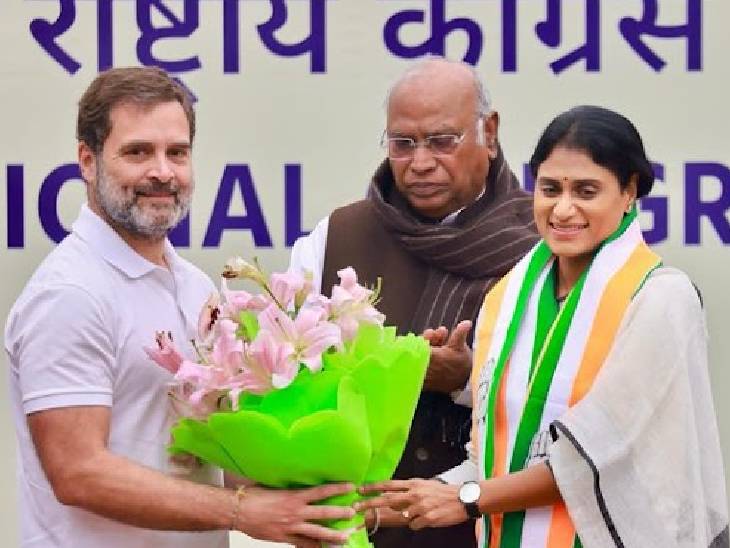 आंध्र प्रदेश की सीनियर नेता वाईएस शर्मिला 4 जनवरी को राहुल गांधी और मल्लिकार्जुन खड़गे की मौजूदगी में कांग्रेस में शामिल हुईं।
