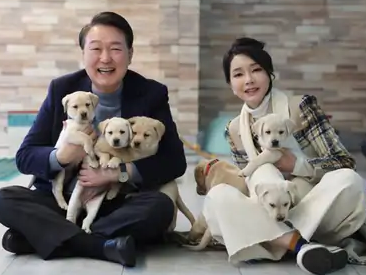 South Korea Dog Meat Sale Banned Update | South Korea News | साउथ कोरिया में 110 साल बाद डॉग मीट पर बैन: कानून के पक्ष में 100% सांसदों ने वोट दिए; 2027 से लागू होगा कम्पलीट बैन