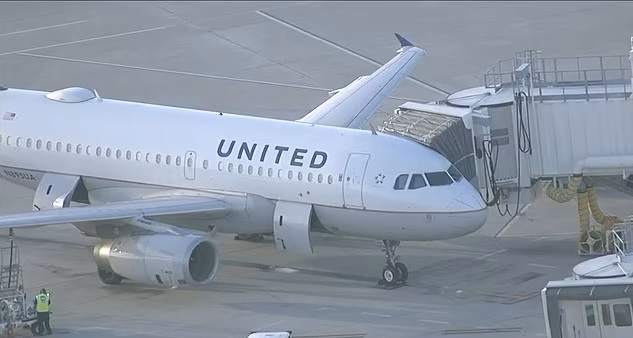 तस्वीर टैम्पा इंटरनेशनल एयरपोर्ट पर लैंड हुए यूनाइटेड एयरलाइन्स के एयरबस A319 की है। यह विमान करीब डेढ़ घंटे बाद दोबारा रवाना हो गया। (क्रेडिट- डेली मेल)