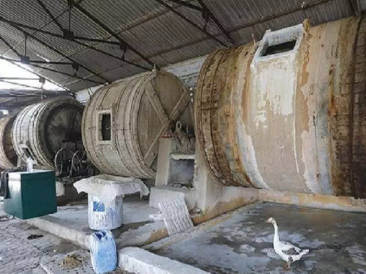 Kanpur Tannery, Ganga, Makar Sankranti, UPPCB, Kanpur News, Tanneries