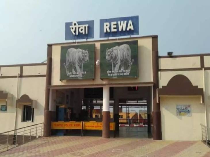 Rewa made a high jump in cleanliness survey,Rewa latest news | स्वच्छता ...