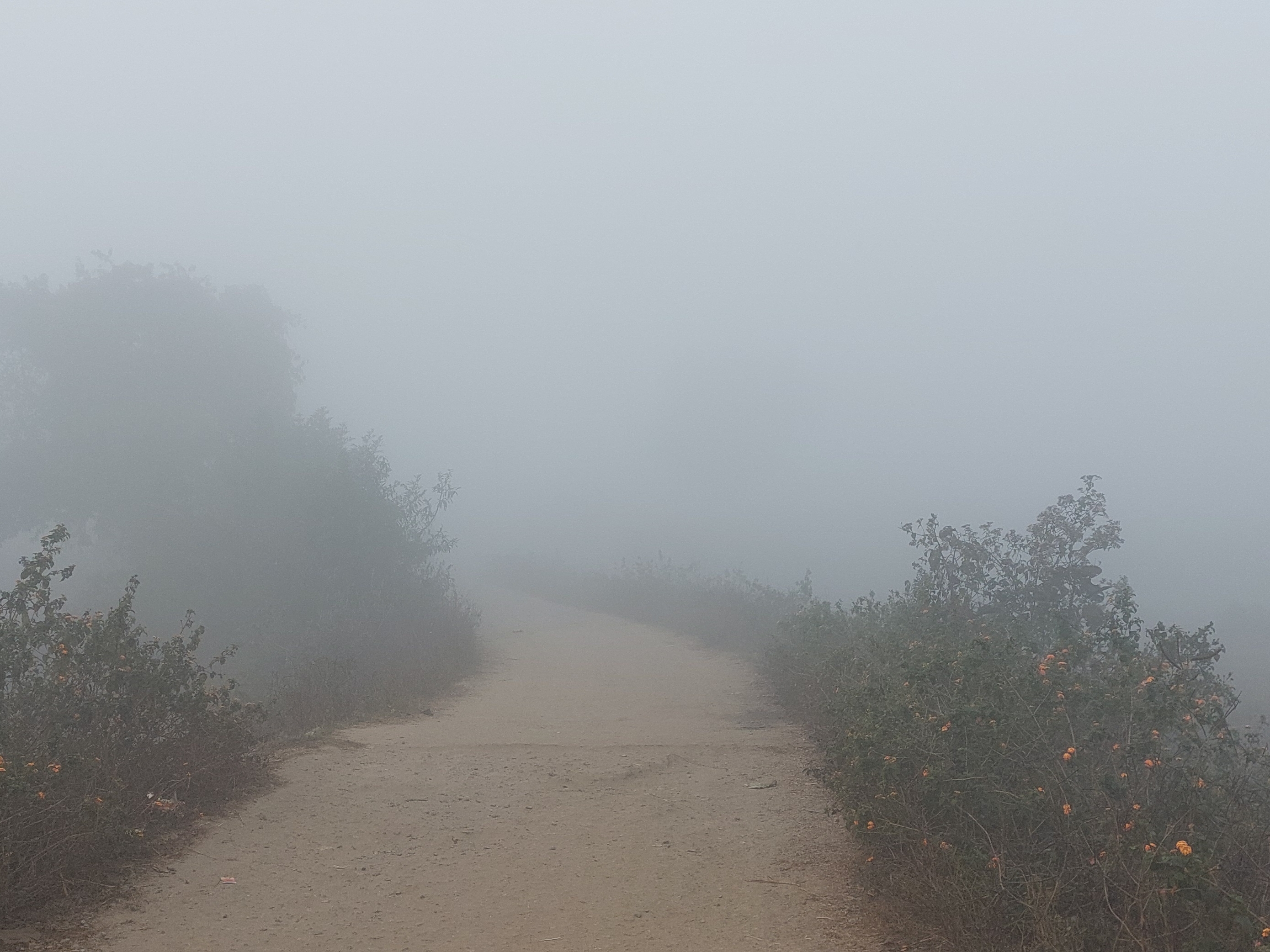Dense fog blocked sunlight, administration has not yet made ...