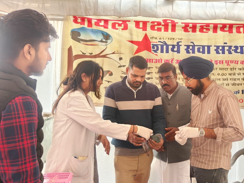 मकर संक्रांति पर्व पर पतंग-बाजी से घायल पक्षियों का शौर्य सेवा संस्थान की ओर से 5 जगहों पर दो दिवसीय अस्थाई कैंप लगा कर 122 पक्षियों का इलाज किया गया। - Dainik Bhaskar