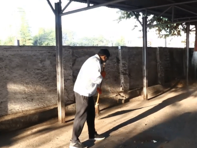 कलेक्टोरेट परिसर में सफाई करते कलेक्टर कौशलेंद्र विक्रम सिंह समेत अन्य अधिकारी-कर्मचारी। - Dainik Bhaskar