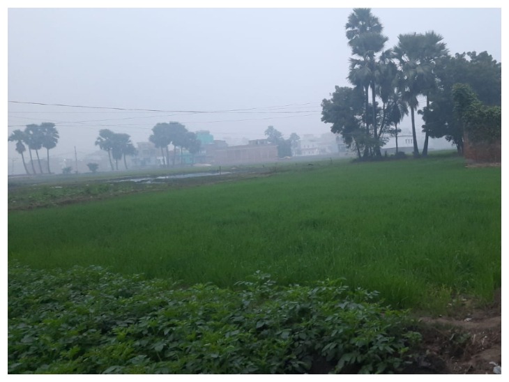 नालंदा में मौसम साफ है।