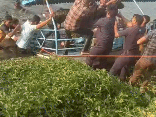 वडोदरा में बीते गुरुवार की दोपहर हरणी लेक में नाव पलटने से हुआ था हादसा। - Dainik Bhaskar