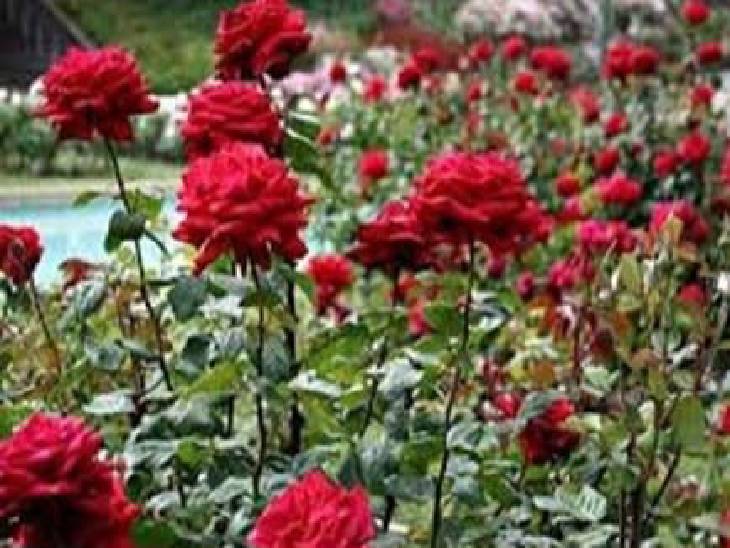 झांसी महानगर से सटे दतिया में मां पीतांबरा पीठ और ओरछा में भगवान रामराजा सरकार का एतिहासिक मंदिर बने हैं।