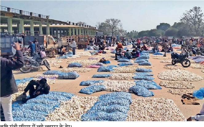 Vegetable Price Hike : सर्दियों में सब्जियों के दाम बेकाबू, लहसुन बना ‘सोना’, गोभी-गाजर कौड़ियों के भाव! 1 25neemuch pullout pg1 0 app 170618862465b25f50c1627 25ne3 large 25neemuch pullout pg1 0 app 170618862465b25f50c1627 25ne3 large Vegetable Price Hike