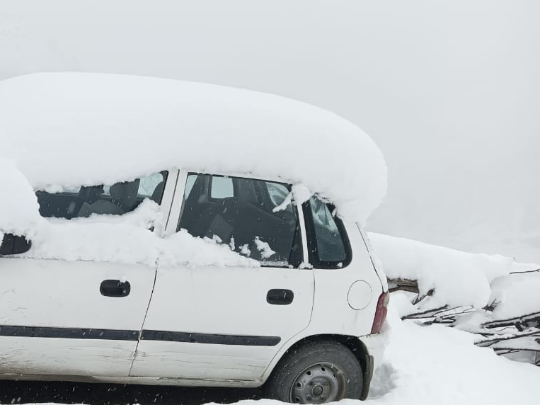 Snowfall Lahaul-Spiti Tindi Rohtang Koksar Sisu