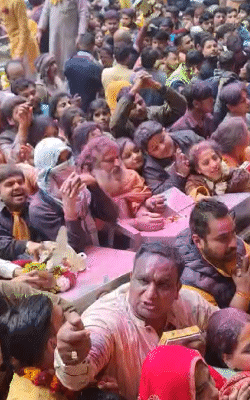 उत्सव की शुरुआत के साथ भक्तों ने भगवान बांके बिहारी के दर्शन किए। जमकर जयकारे लगाए।