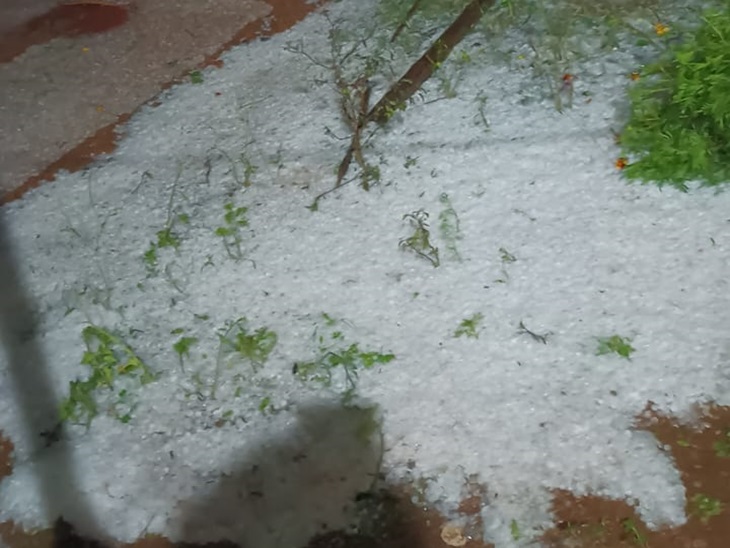 क्षेत्र में जमकर पड़े थे ओले।