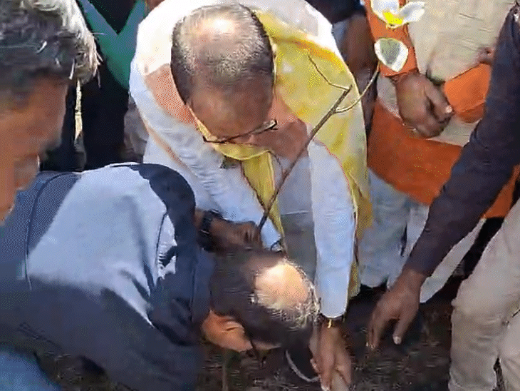 स्मार्ट सिटी के कार्यक्रम में पूर्व मुख्यमंत्री शिवराज सिंह चौहान के साथ भास्कर समूह के एमडी सुधीर अग्रवाल ने पौधारोपण किया। इस अवसर पर कई पदाधिकारी मौजूद थे।