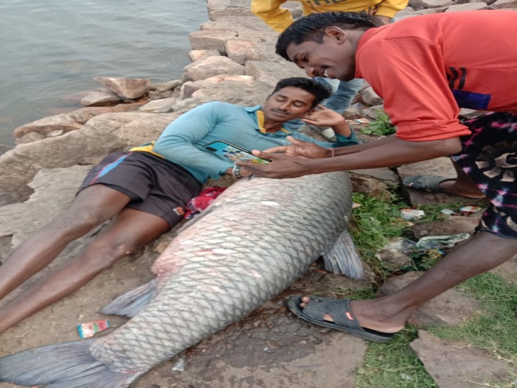 मछली की फोटो सोशल मीडिया पर वायरल।