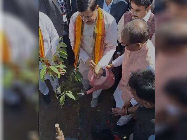 मुख्यमंत्री डॉ. मोहन यादव और पूर्व मुख्यमंत्री शिवराज सिंह चौहान ने पौधे लगाए। शिवराज सिंह चौहान ने कहा- पेड़ लगाना मतलब धरती को बचाने का प्रयत्न करना है।