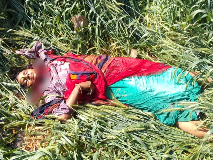 हरफूल ने पहले पत्नी बबीता से बहस की। इसके बाद फावड़ा गर्दन पर मारकर उसका मर्डर कर दिया।