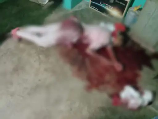 पोती सविता साहू (19)