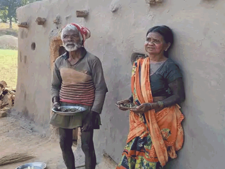 हाथियों ने घर तोड़ा और बुजुर्ग दंपती को कुचल दिया। - Dainik Bhaskar