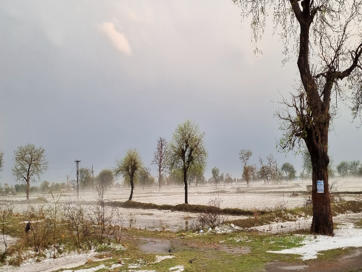 सहसपुर लोहारा रोड कवर्धा में बारिश और ओले गिरे।
