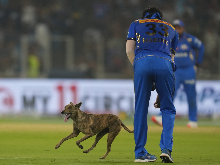 स्टेडियम सुरक्षा द्वारा कुत्ते को मैदान से हटा दिया गया।