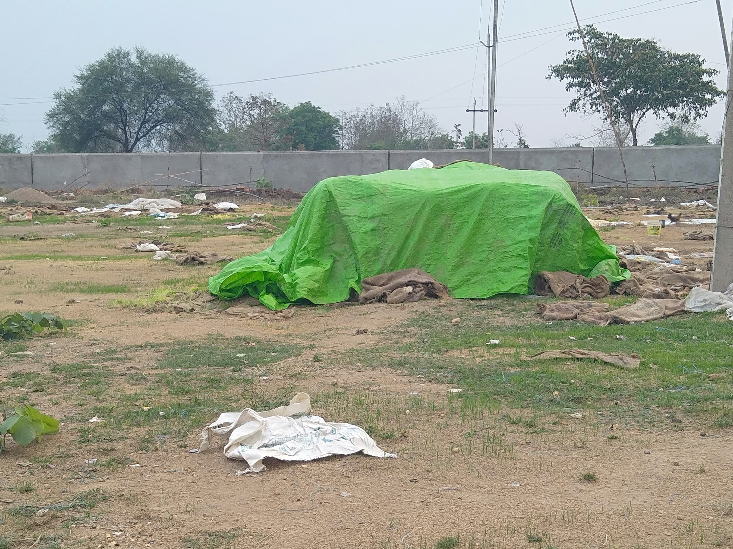बड़ी संख्या में गायब हुए धान के बोरों को लेकर अधिकारी खामोश हैं।