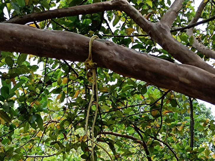 रामगोपाल रैकवार ने इसी स्थान पर फंदा लगाकर सुसाइड किया था।