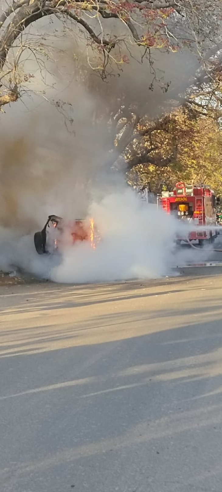 A moving car caught fire, father and son were rescued। Chandigarh