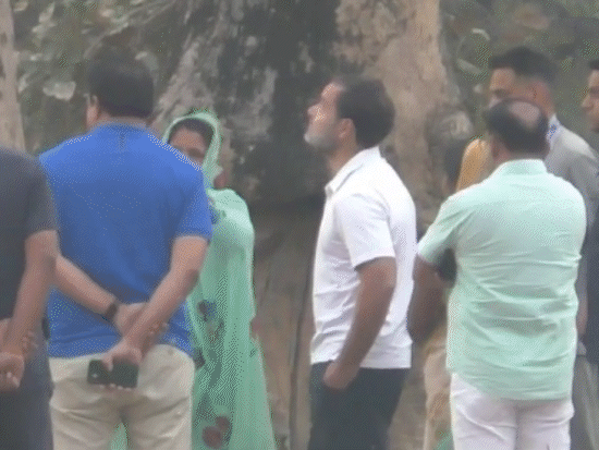 राहुल मंगलवार को शहडोल से उमरिया जा रहे थे। रास्ते में आदिवासी महिलाओं को महुआ बीनते देख काफिला रुकवाया और उनसे बातचीत की।