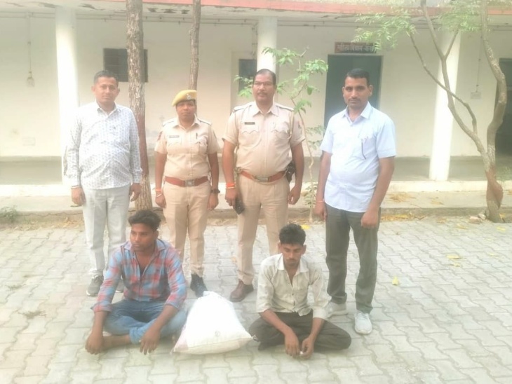 रोहिड़ा पुलिस ने 3 किलो 500 ग्राम डोडा पोस्त सहित जीप जब्त कर दो लोगों को गिरफ्तार किया। - Dainik Bhaskar