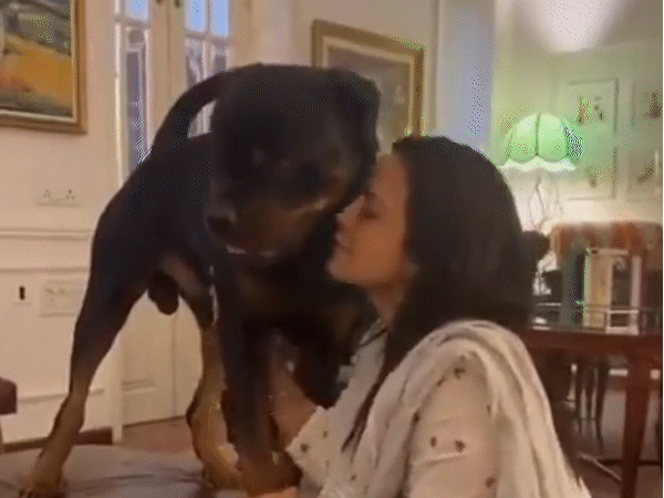 महुआ मोइत्रा का रॉटवीलर ब्रीड के कुत्ते के साथ यह वीडियो सोशल मीडिया पर वायरल हुआ था। दावा था कि यह वही डॉग है जिसको लेकर महुआ और वकील देहाद्राई के बीच लड़ाई चल रही है।