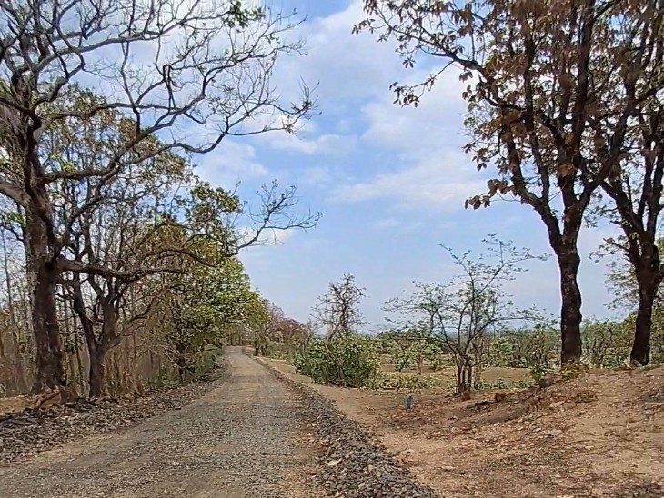 छोटी सी पहाड़ी पर टूटी फूटी सड़क शांतिबाई के गांव में है
