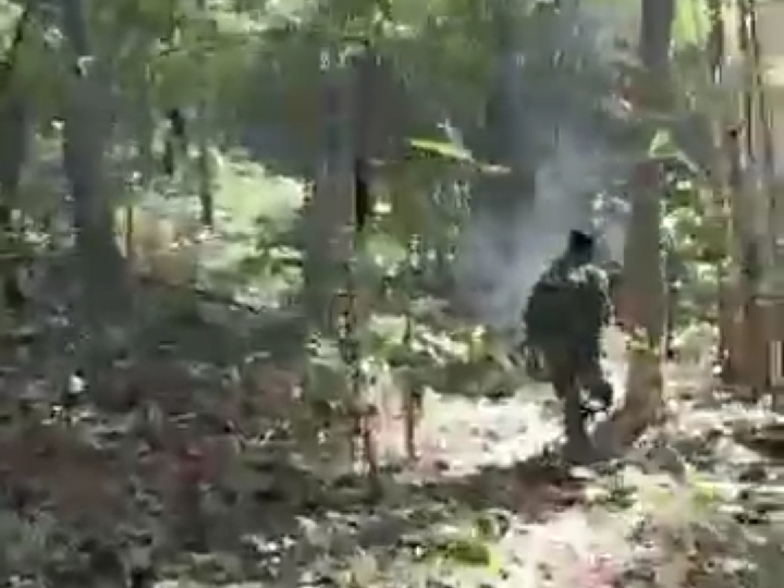 फाइल फोटो - Dainik Bhaskar