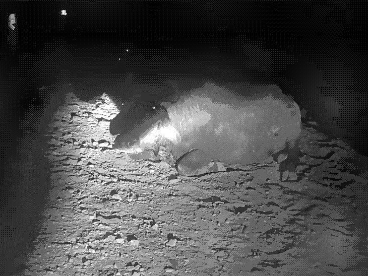 चलती गाड़ी से टकराकर क्षतिग्रस्त हो गई ट्रेलर, केबिन में फंसा रहा ड्राइवर। - Dainik Bhaskar