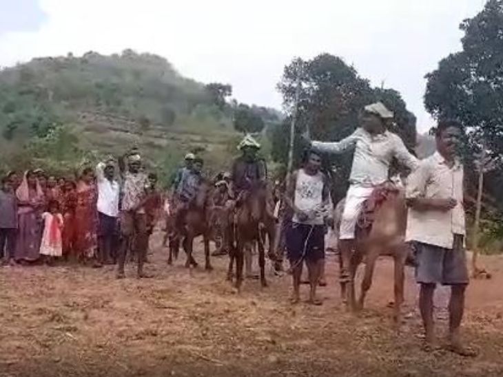 गांव तक सड़क ना होने के चलते आदिवासी पैदल और घोड़े से ट्रांसपोर्टेशन करते हैं।