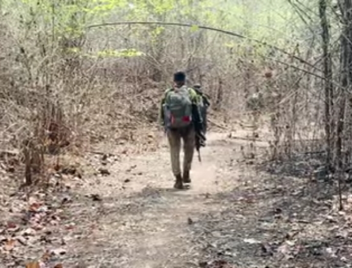 नक्सलियों के खिलाफ लगातार ऑपरेशन चलाया जा रहा है।