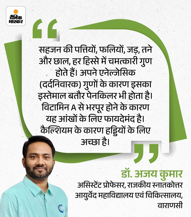 Drumstick (Sahjan) Health Benefits; Munga Ki Fali Khane Ke Fayde