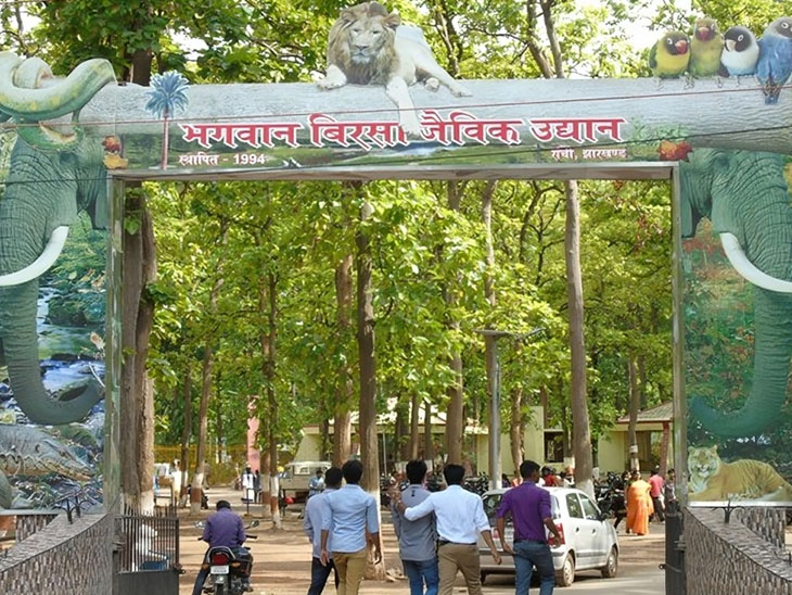 जू प्रबंधन ने चारों के शवों को कैंपस के अंदर ही जला दिया।