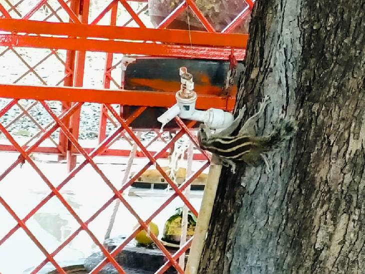 Madhya Pradesh Weather IMD Heatwave Alert; Datia Temperature | Gwalior ...