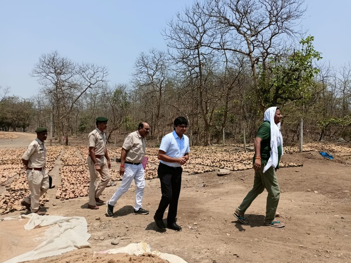 APCCF and CCF inspected tendu leaf work | एपीसीसीएफ और सीसीएफ ने किया ...