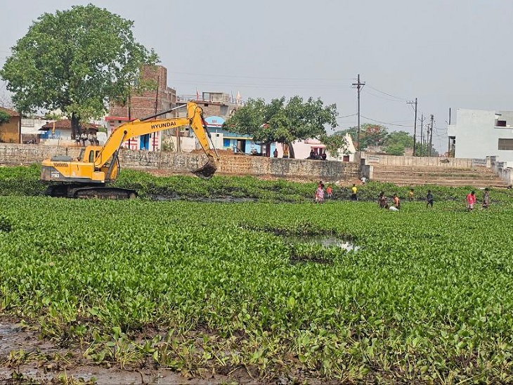 कुरुद गांव के ढौर तालाब की हो रही सफाई - Dainik Bhaskar
