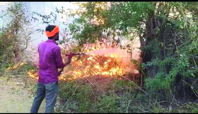 The fire brigade brought the fire under control | आग पर फायर ब्रिगेड ने ...
