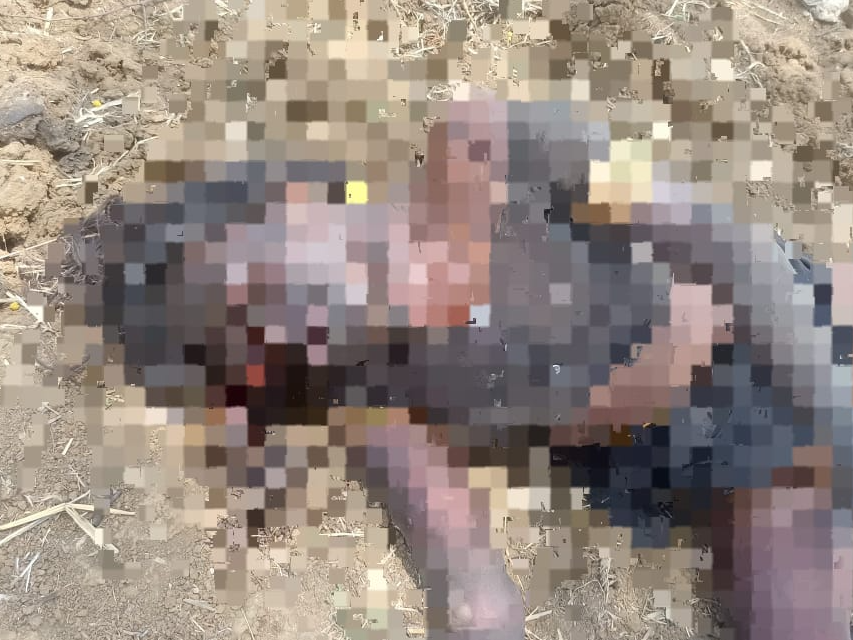 दुर्ग में सड़क किनारे मिली महिला की लाश - Dainik Bhaskar