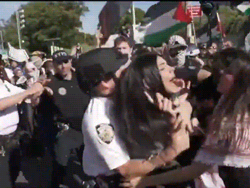 फिलिस्तीन समर्थकों ने न्यूयॉर्क की ब्रुकलिन म्यूजियम पर कब्जा कर लिया था। - Dainik Bhaskar