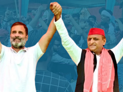 Akhilesh Yadav UP Lok Sabha Election Result 2024 Analysis | SP Party  Candidates | यूपी में 62 से 33 सीटों पर कैसे सिमटी भाजपा: मोदी-योगी क्यों  नहीं रोक पाए हार, सपा की