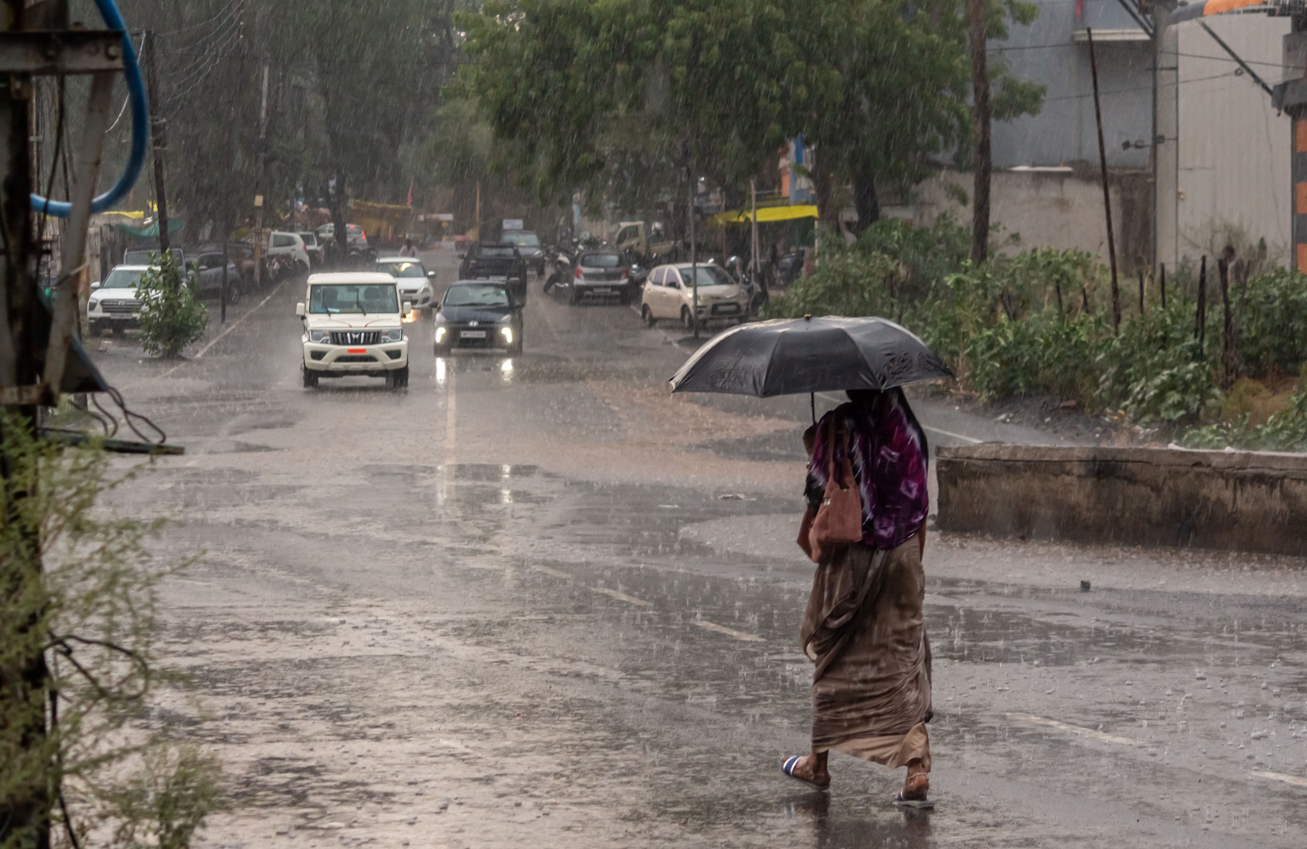 Change in weather: Intense sunlight with humidity in the afternoon ...