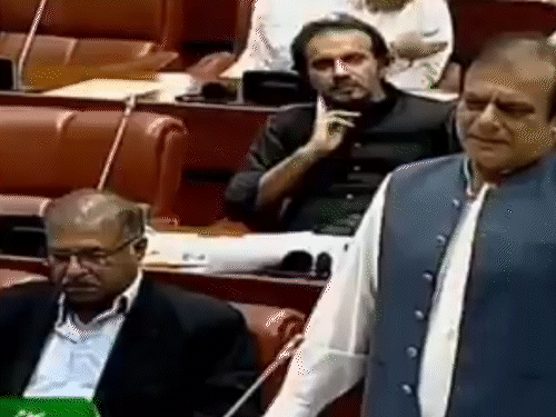 इमरान खान की पार्टी के सांसद शिबली फराज ने पाकिस्तानी संसद में भारत में हुए चुनाव की तारीफ की। - Dainik Bhaskar