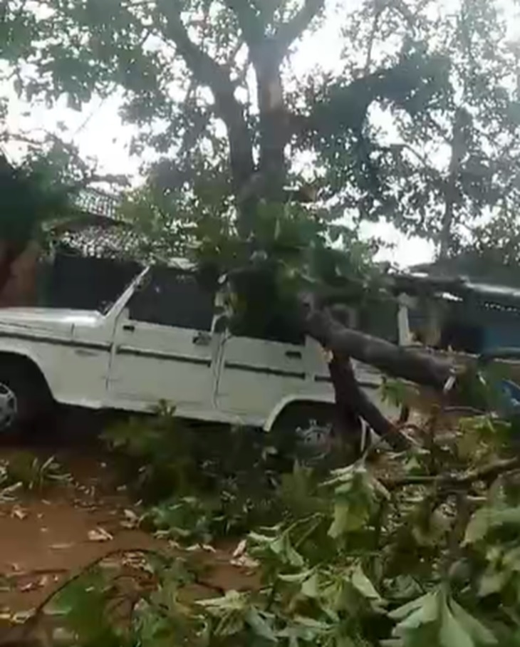 सूरजपुर में पेड़ गिरने से वाहन बुरी तरह क्षतिग्रस्त हो गया। उसमें बैठा परिवार बाल-बाल बचा है।