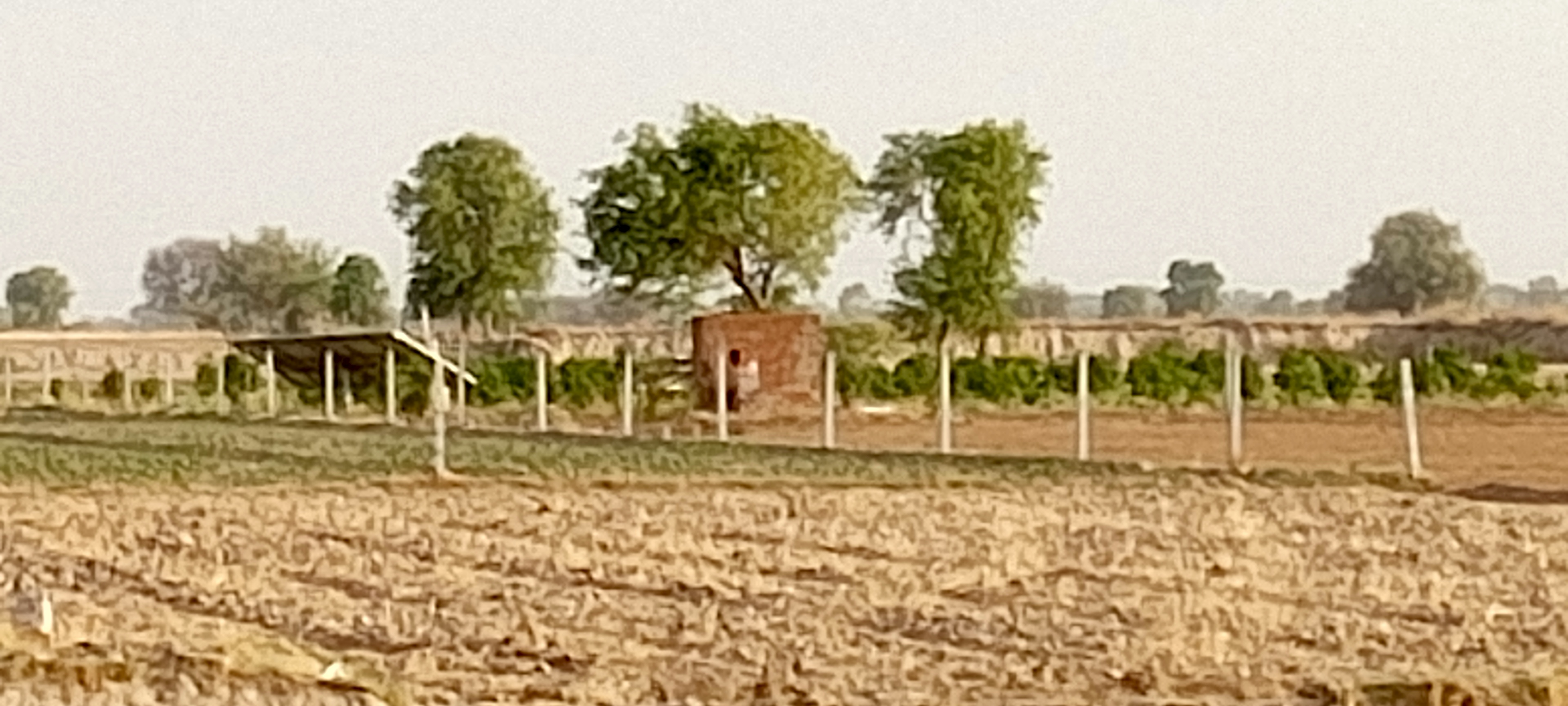 Brothers died due to electric shock | करंट लगने से सगे भाइयों की मौत: छोटा  भाई पहले आया करंट की चपेट में, बड़े ने छोटे को छुआ तो मौत - Sriganganagar  News |